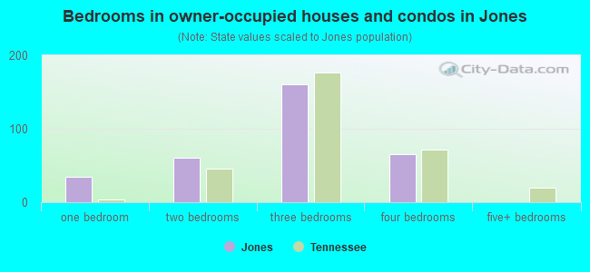 Bedrooms in owner-occupied houses and condos in Jones