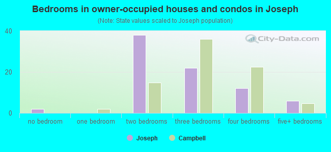 Bedrooms in owner-occupied houses and condos in Joseph
