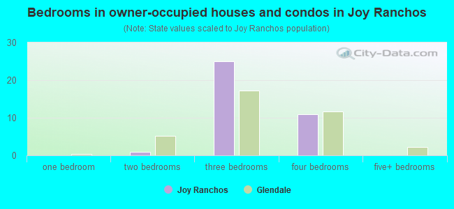 Bedrooms in owner-occupied houses and condos in Joy Ranchos