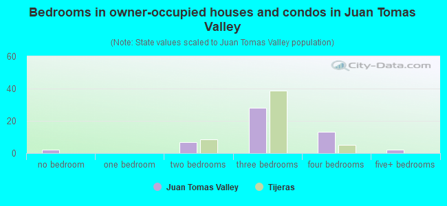 Bedrooms in owner-occupied houses and condos in Juan Tomas Valley