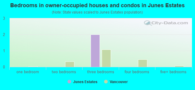 Bedrooms in owner-occupied houses and condos in Junes Estates
