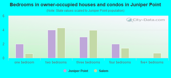 Bedrooms in owner-occupied houses and condos in Juniper Point