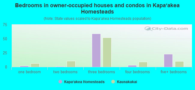 Bedrooms in owner-occupied houses and condos in Kapa‘akea Homesteads
