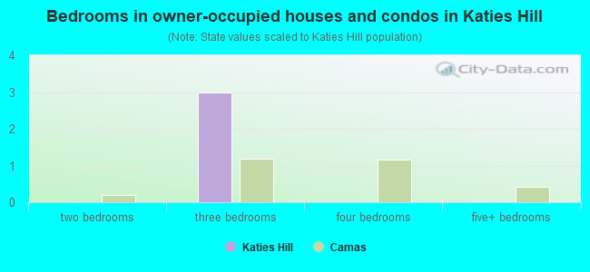 Bedrooms in owner-occupied houses and condos in Katies Hill