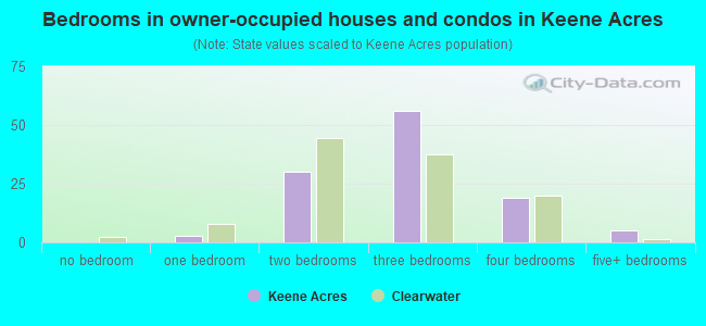 Bedrooms in owner-occupied houses and condos in Keene Acres