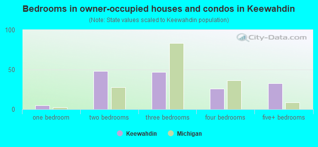 Bedrooms in owner-occupied houses and condos in Keewahdin