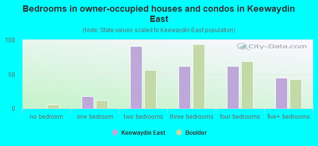Bedrooms in owner-occupied houses and condos in Keewaydin East