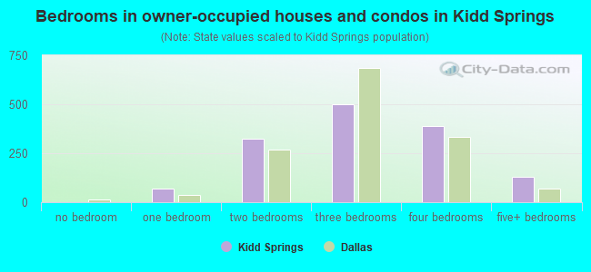 Bedrooms in owner-occupied houses and condos in Kidd Springs