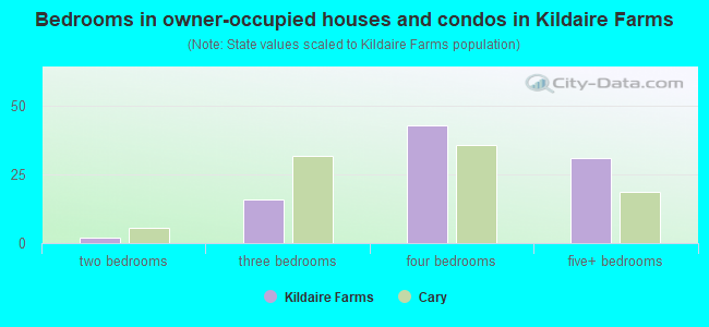 Bedrooms in owner-occupied houses and condos in Kildaire Farms