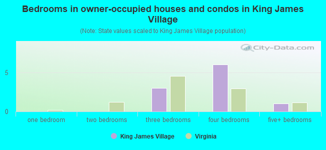 Bedrooms in owner-occupied houses and condos in King James Village
