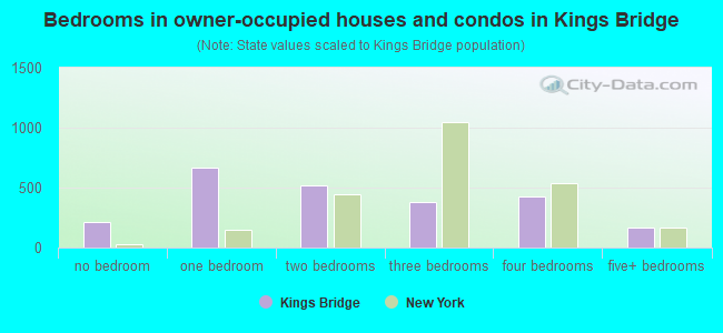 Bedrooms in owner-occupied houses and condos in Kings Bridge