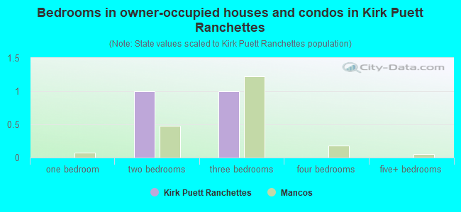 Bedrooms in owner-occupied houses and condos in Kirk Puett Ranchettes