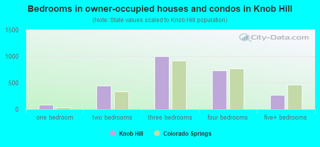 Bedrooms in owner-occupied houses and condos in Knob Hill