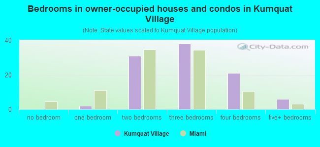Bedrooms in owner-occupied houses and condos in Kumquat Village