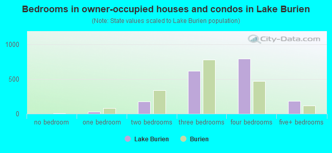 Bedrooms in owner-occupied houses and condos in Lake Burien