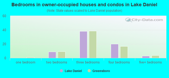 Bedrooms in owner-occupied houses and condos in Lake Daniel