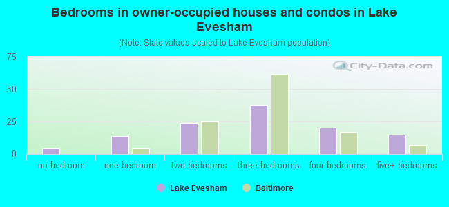 Bedrooms in owner-occupied houses and condos in Lake Evesham