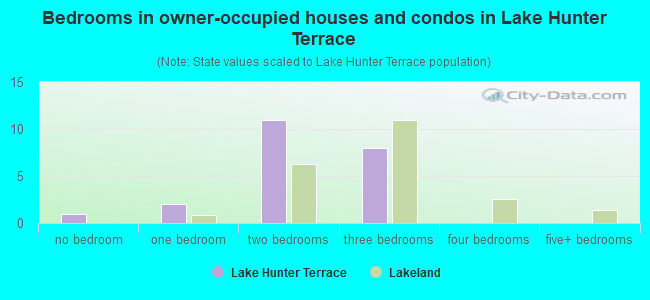 Bedrooms in owner-occupied houses and condos in Lake Hunter Terrace
