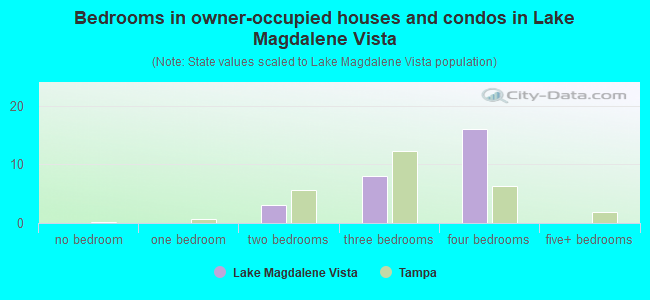 Bedrooms in owner-occupied houses and condos in Lake Magdalene Vista