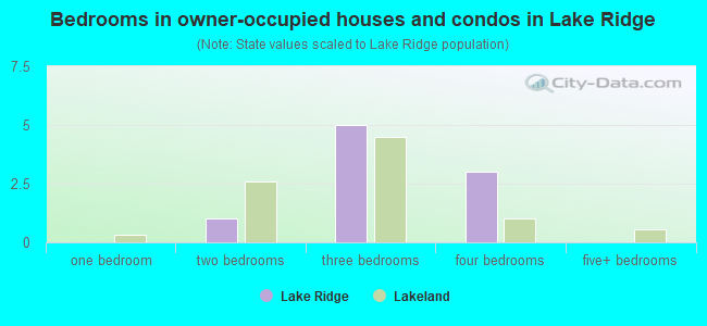Bedrooms in owner-occupied houses and condos in Lake Ridge