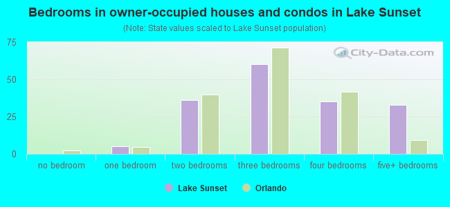 Bedrooms in owner-occupied houses and condos in Lake Sunset