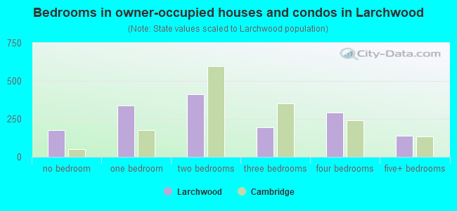 Bedrooms in owner-occupied houses and condos in Larchwood