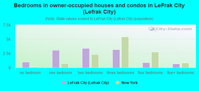 Bedrooms in owner-occupied houses and condos in LeFrak City (Lefrak City)
