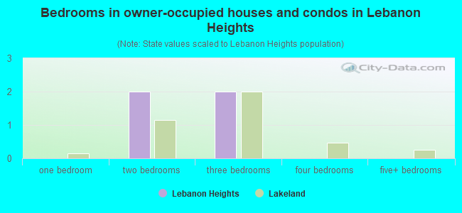 Bedrooms in owner-occupied houses and condos in Lebanon Heights