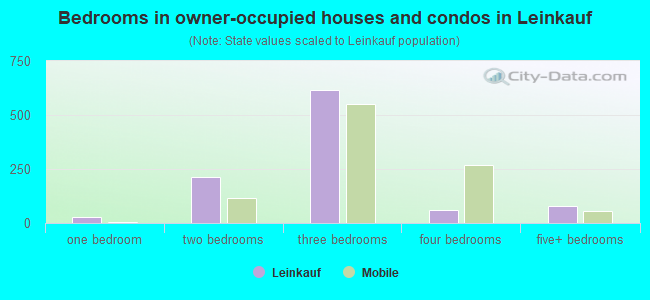 Bedrooms in owner-occupied houses and condos in Leinkauf