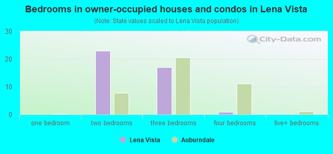 Bedrooms in owner-occupied houses and condos in Lena Vista