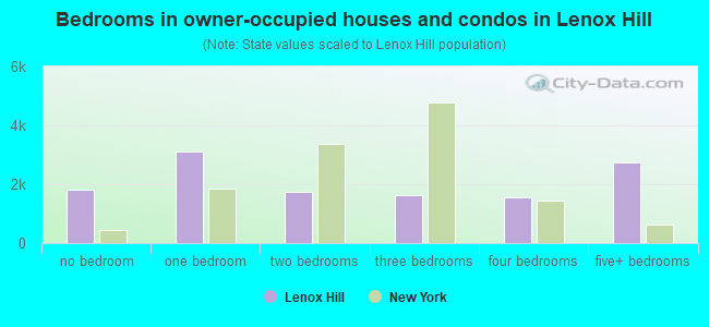 Bedrooms in owner-occupied houses and condos in Lenox Hill