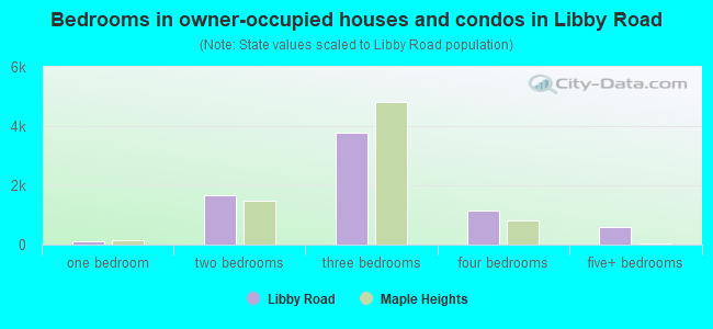 Bedrooms in owner-occupied houses and condos in Libby Road