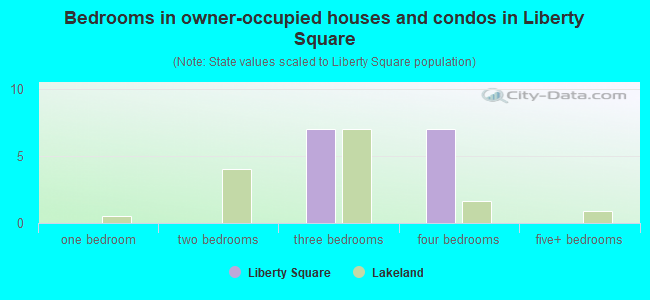 Bedrooms in owner-occupied houses and condos in Liberty Square