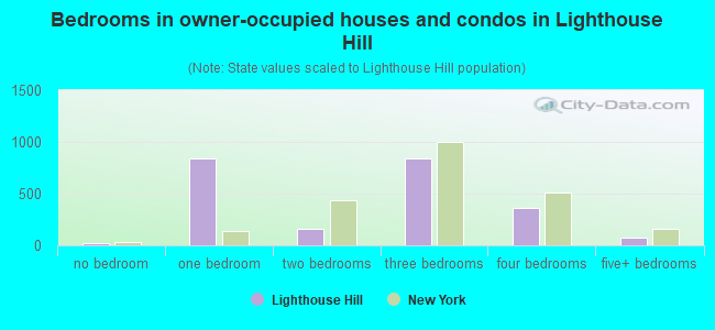 Bedrooms in owner-occupied houses and condos in Lighthouse Hill