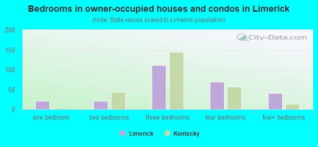 Bedrooms in owner-occupied houses and condos in Limerick