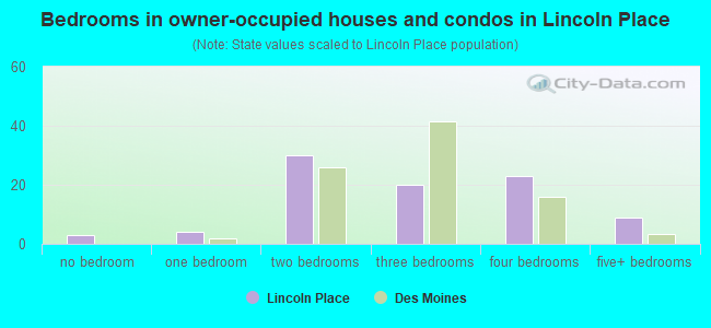 Bedrooms in owner-occupied houses and condos in Lincoln Place
