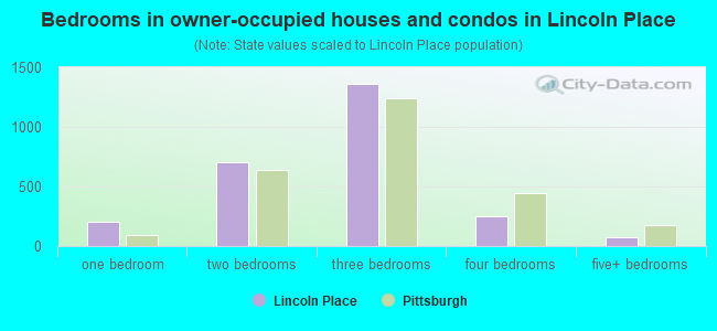 Bedrooms in owner-occupied houses and condos in Lincoln Place