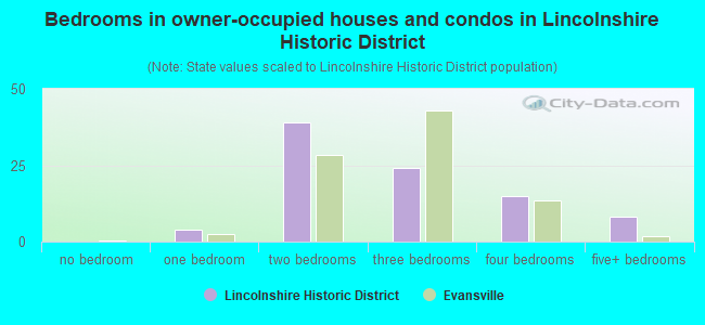 Bedrooms in owner-occupied houses and condos in Lincolnshire Historic District