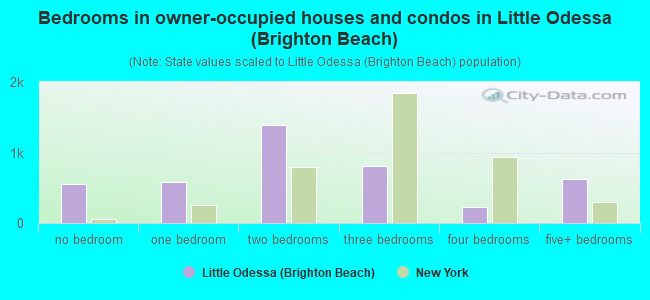 Bedrooms in owner-occupied houses and condos in Little Odessa (Brighton Beach)