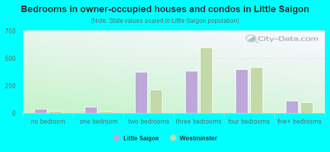 Bedrooms in owner-occupied houses and condos in Little Saigon