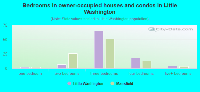 Bedrooms in owner-occupied houses and condos in Little Washington