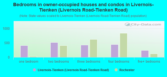 Bedrooms in owner-occupied houses and condos in Livernois-Tienken (Livernois Road-Tienken Road)