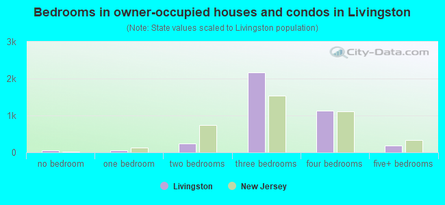 Bedrooms in owner-occupied houses and condos in Livingston