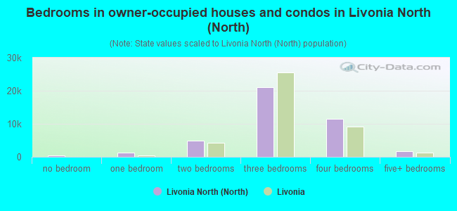 Bedrooms in owner-occupied houses and condos in Livonia North (North)