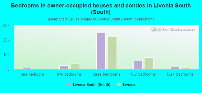 Bedrooms in owner-occupied houses and condos in Livonia South (South)
