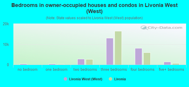 Bedrooms in owner-occupied houses and condos in Livonia West (West)