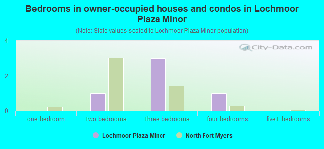 Bedrooms in owner-occupied houses and condos in Lochmoor Plaza Minor