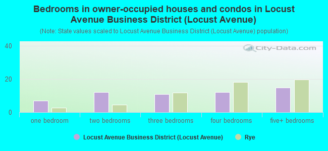 Bedrooms in owner-occupied houses and condos in Locust Avenue Business District (Locust Avenue)