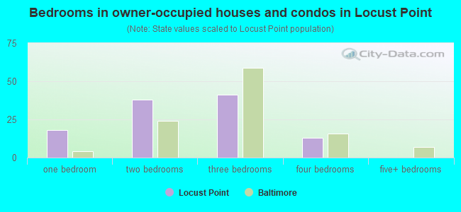 Bedrooms in owner-occupied houses and condos in Locust Point