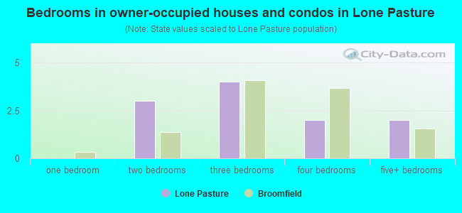 Bedrooms in owner-occupied houses and condos in Lone Pasture